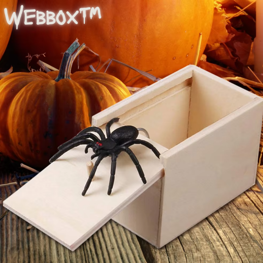 Webbox™ Spinnenstreich-Box