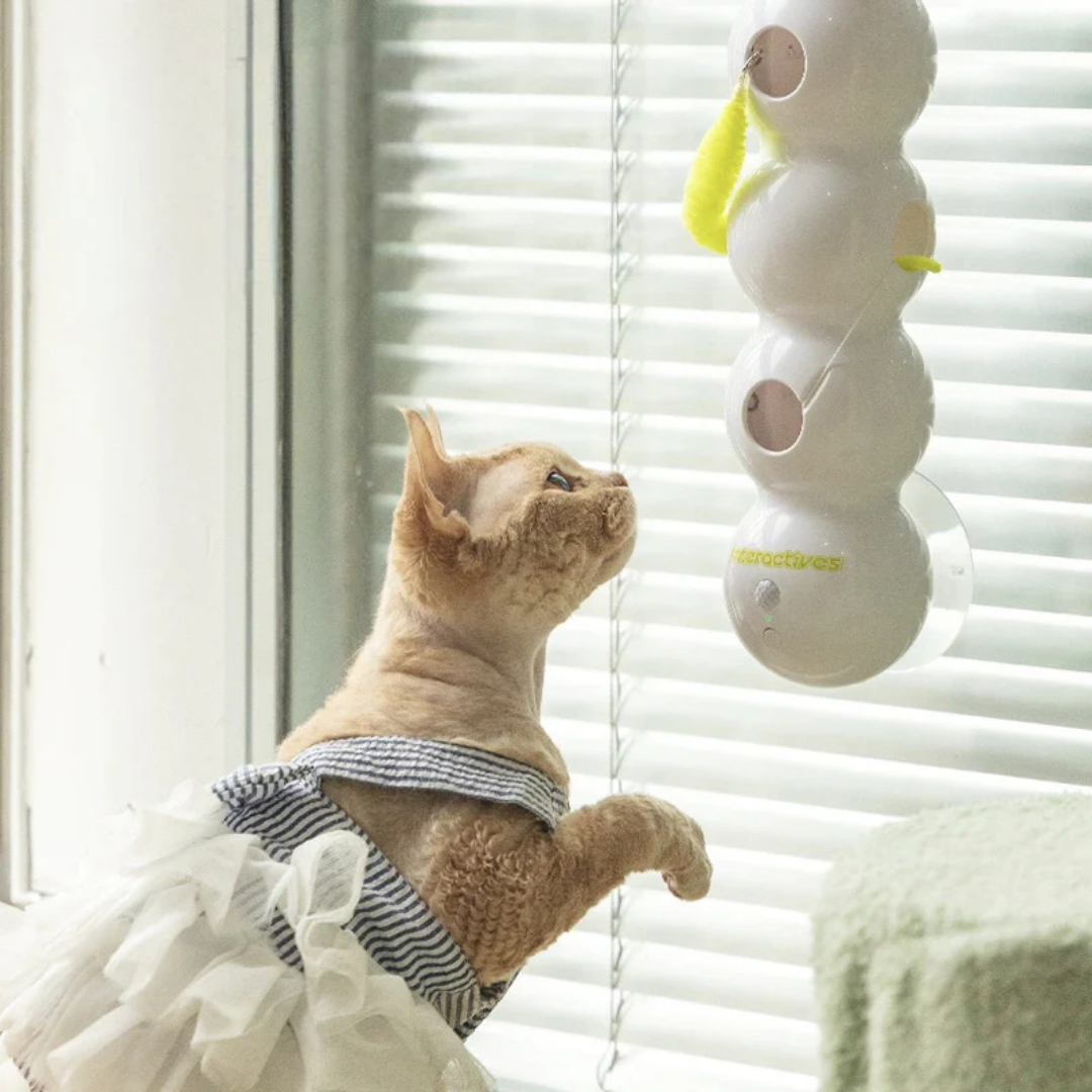 TailTease™ - Katzenspielzeug