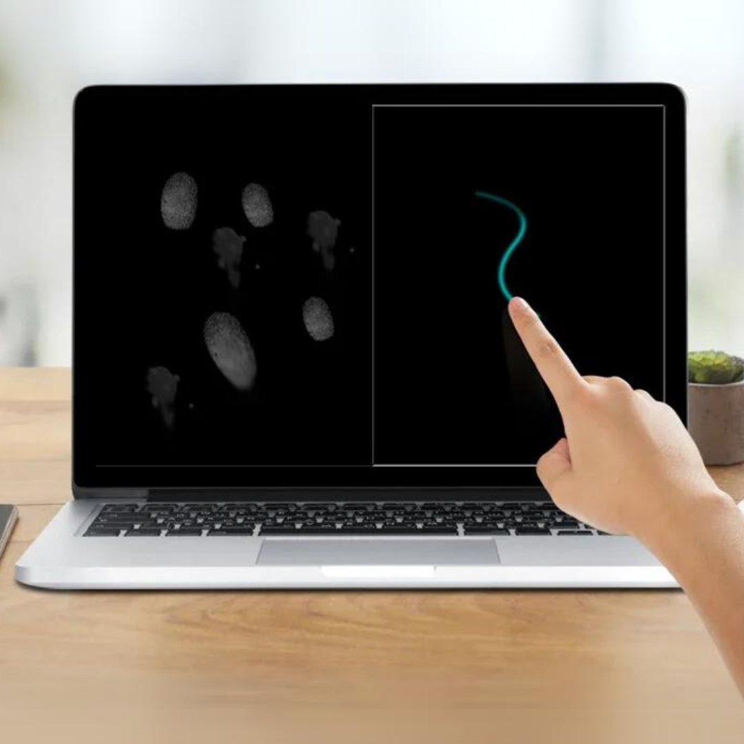 ViewSonic™ Laptop-Bildschirmschutzfolie