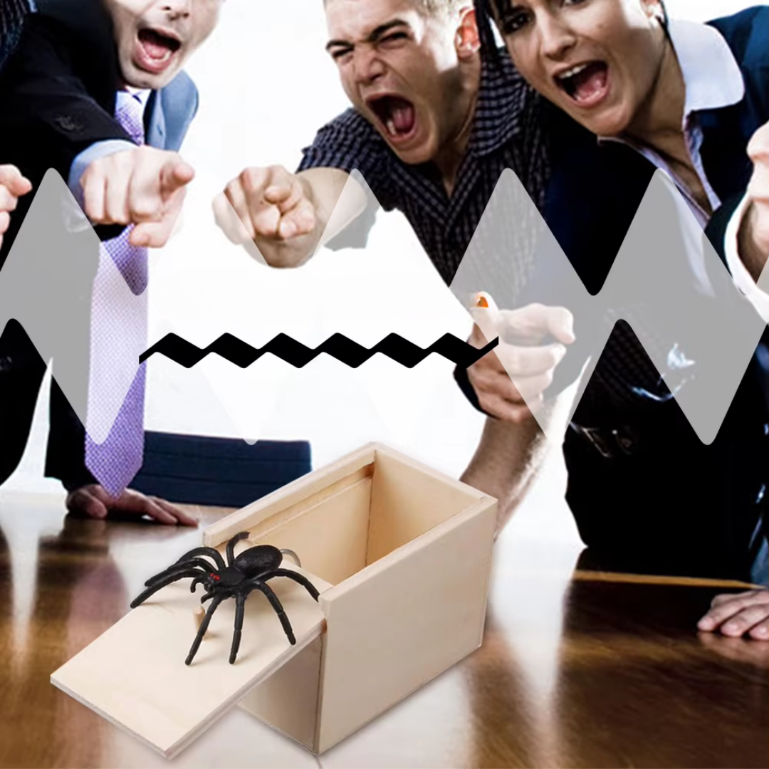 Webbox™ Spinnenstreich-Box