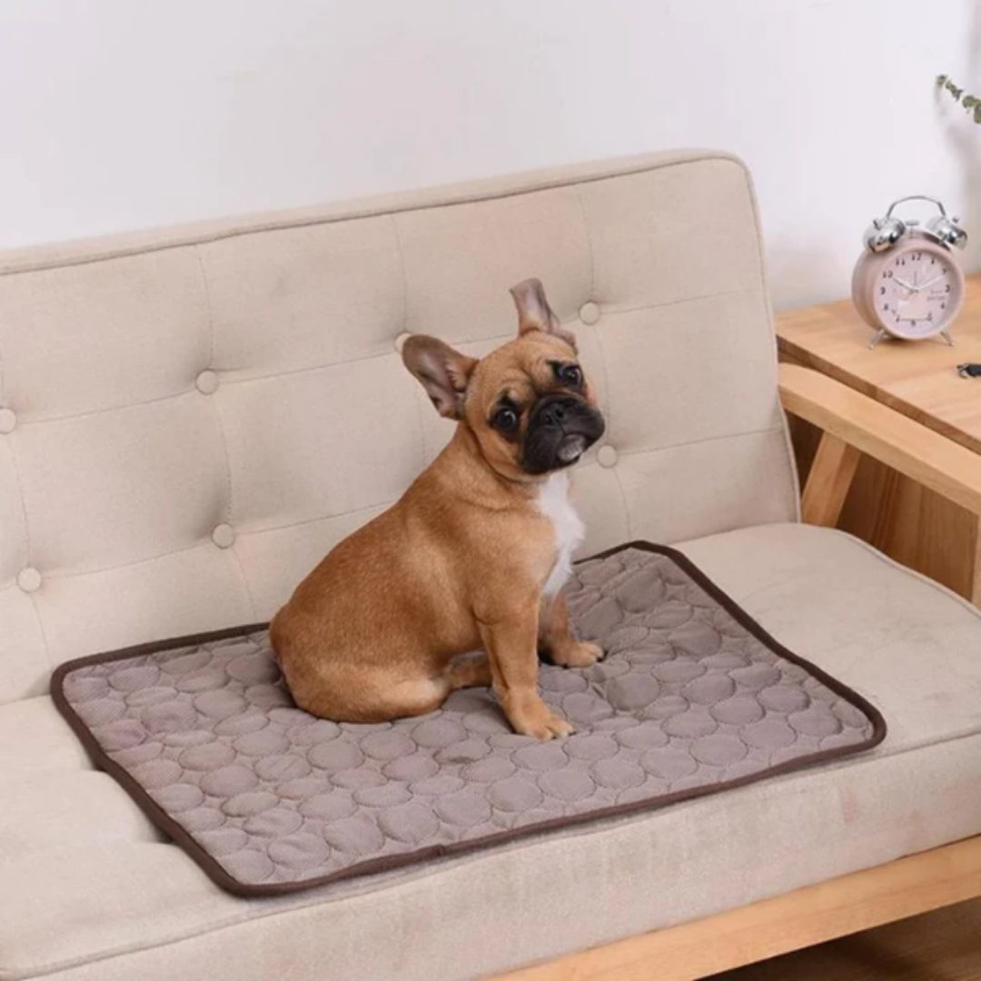 FreshPaws™ Kühlmatte für Haustiere