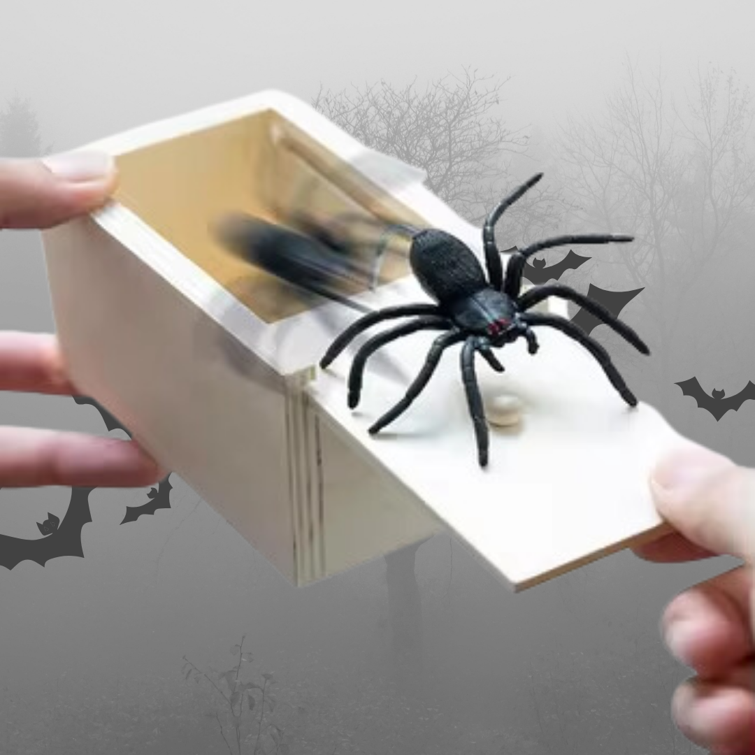 Webbox™ Spinnenstreich-Box