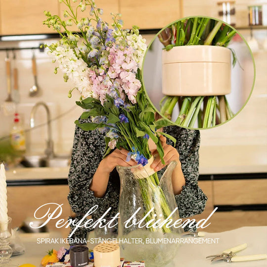 StemHold™ Spiralförmiger Ikebana-Stängelhalter
