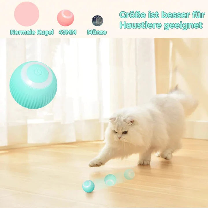 PurrRoll™ Selbstrollender Katzenspielzeug-Ball