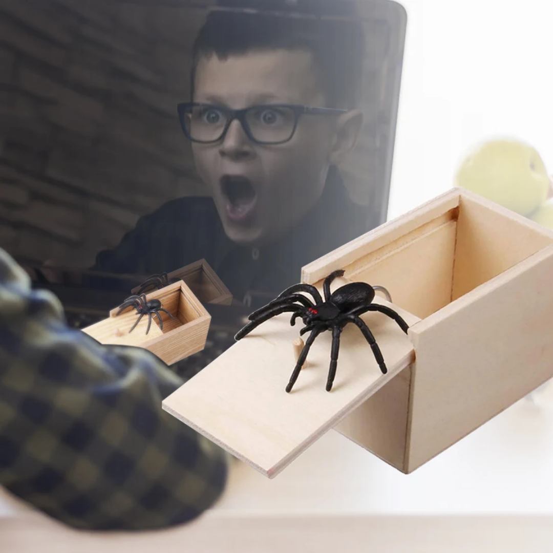 Webbox™ Spinnenstreich-Box