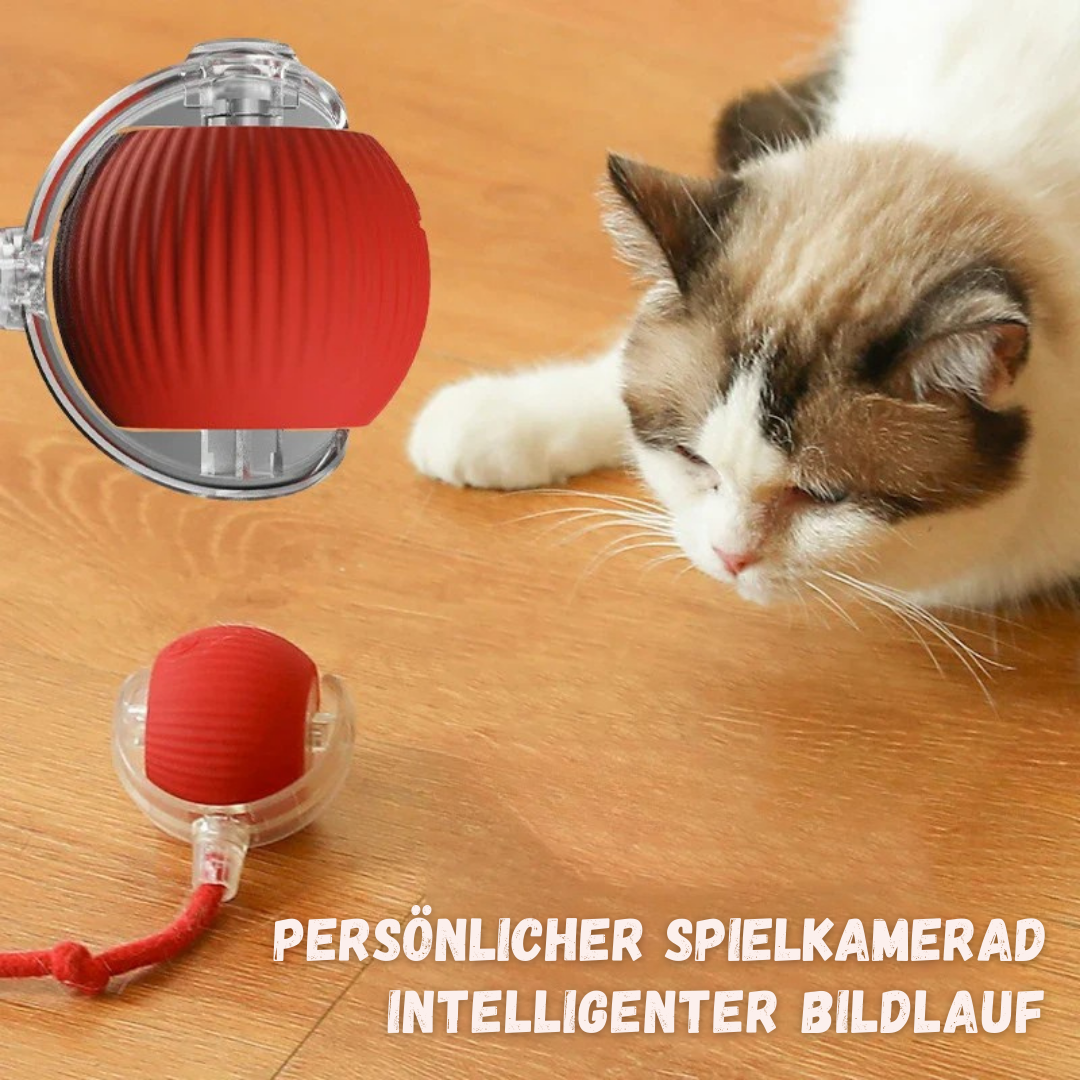 PetOrbit™ - Haustier Interaktiver Rollender Ball