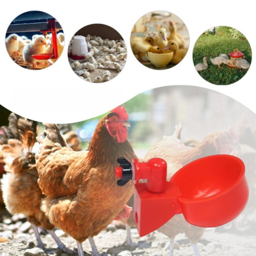 HenCluck™ Automatische Hühner-Tränkebecher (5+5 GRATIS)