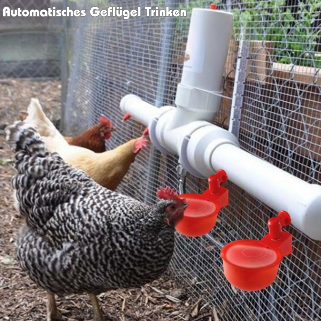 HenCluck™ Automatische Hühner-Tränkebecher (5+5 GRATIS)