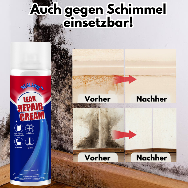Sealure™ - Wasserdichtes Leckreparatur-Spray