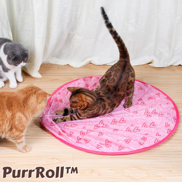PurrRoll™ Selbstrollender Katzenspielzeug-Ball