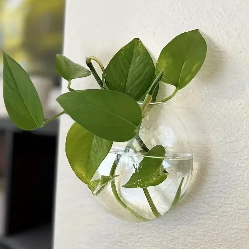 WallBliss™ – Wandmontierte Klare Blumenvase (1+1 GRATIS)