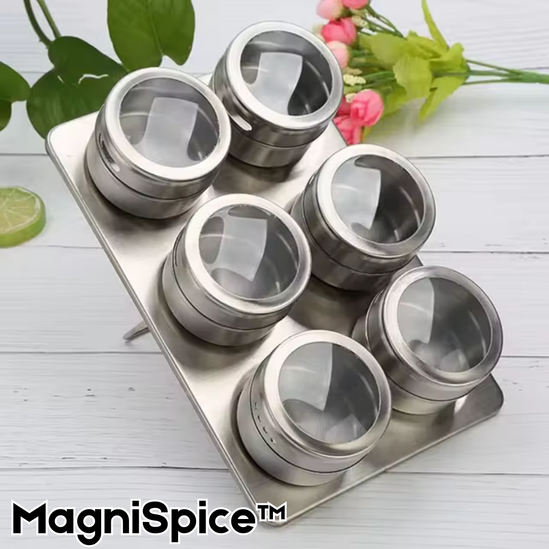 MagniSpice™ Magnetische Gewürzdosen Satz