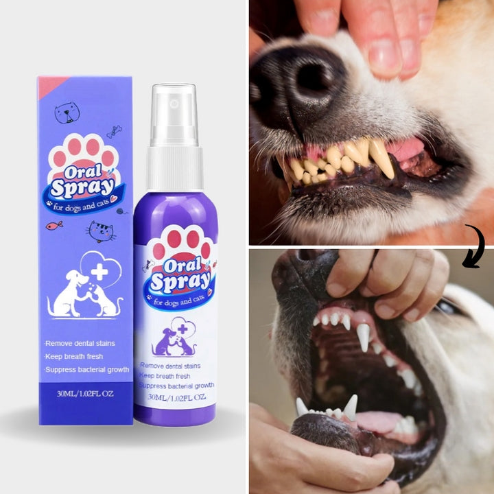 OralSpray™ - Mundspray für Haustiere (1+1 GRATIS)