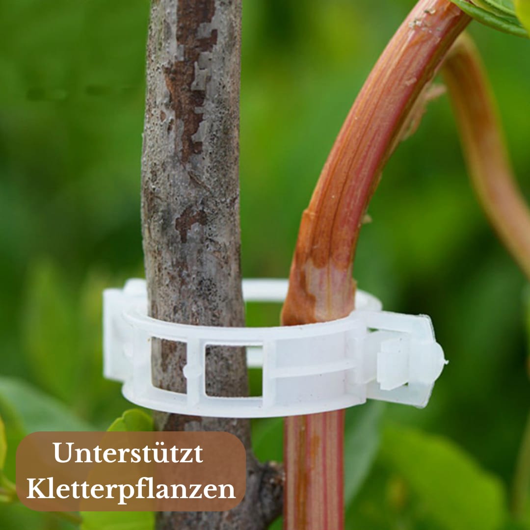 Ideko™ - Pflanzenstützclips