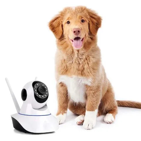 360Eye™ - Bewegungserkennungs-Kamera mit 360 Grad Sicht