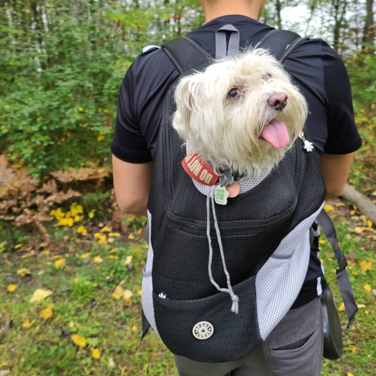 LuxePaw™️ | Hundetrage-Rucksack