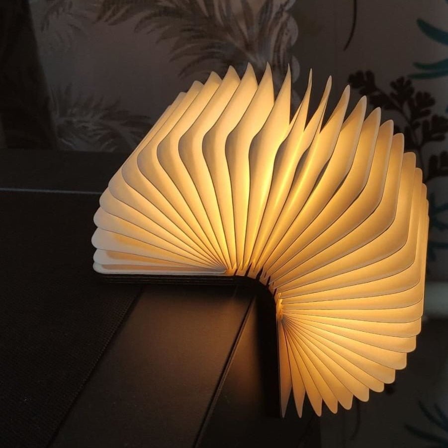LumWood™ - 360° Buchlampe aus Holz