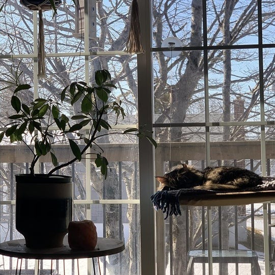 CatSwing™ Katzen-Hängematte