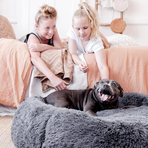 PuppyDream™ - Bequemes Bett für Hunde & Katzen