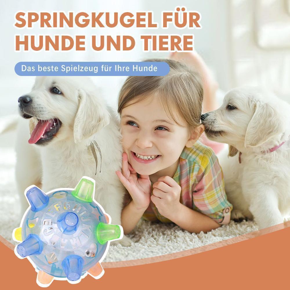 Jumpy™ Springkugel für Hunde und Tiere