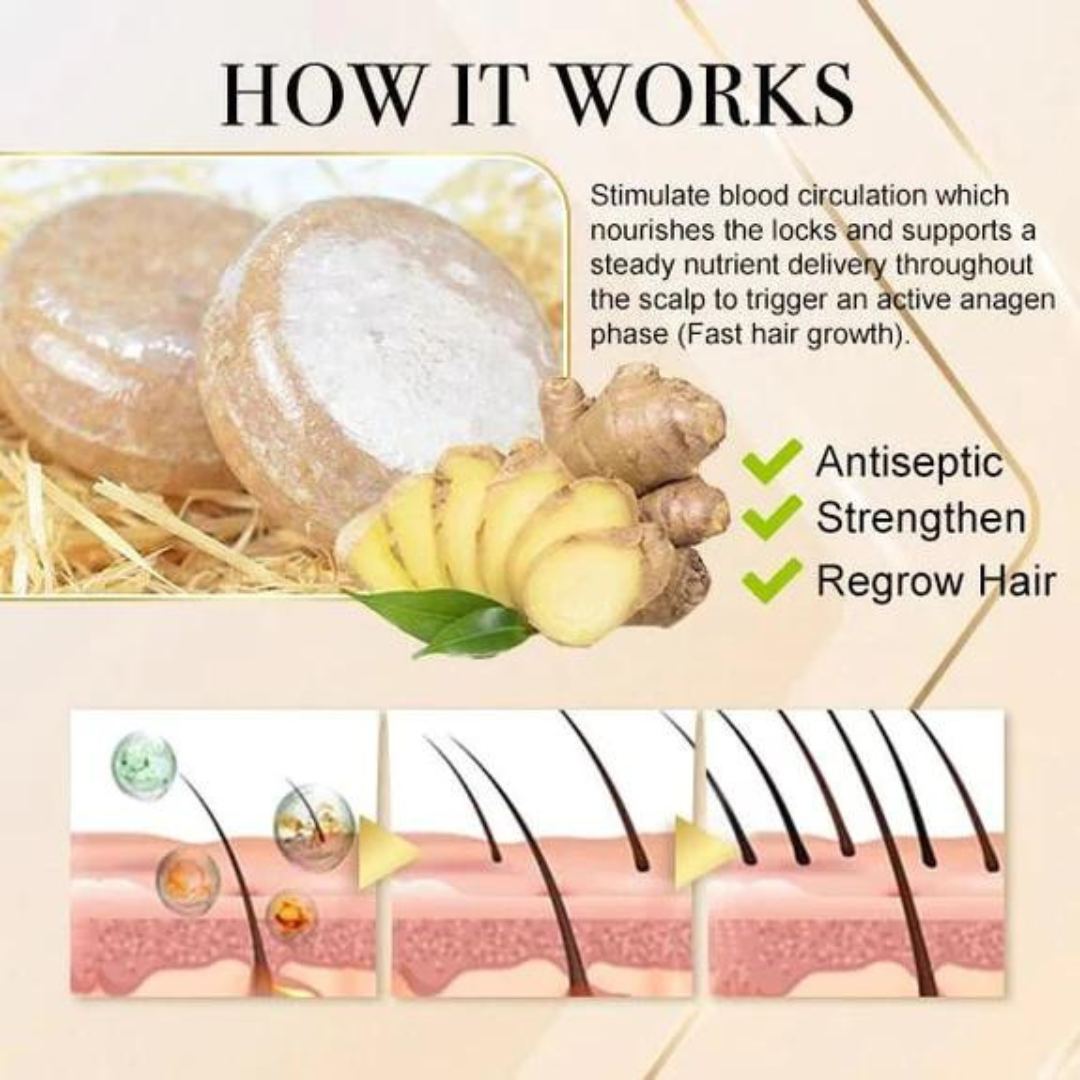 HairCare Bar™️ Ingwer Haarwuchs Shampoo Bar (1+1 GRATIS)