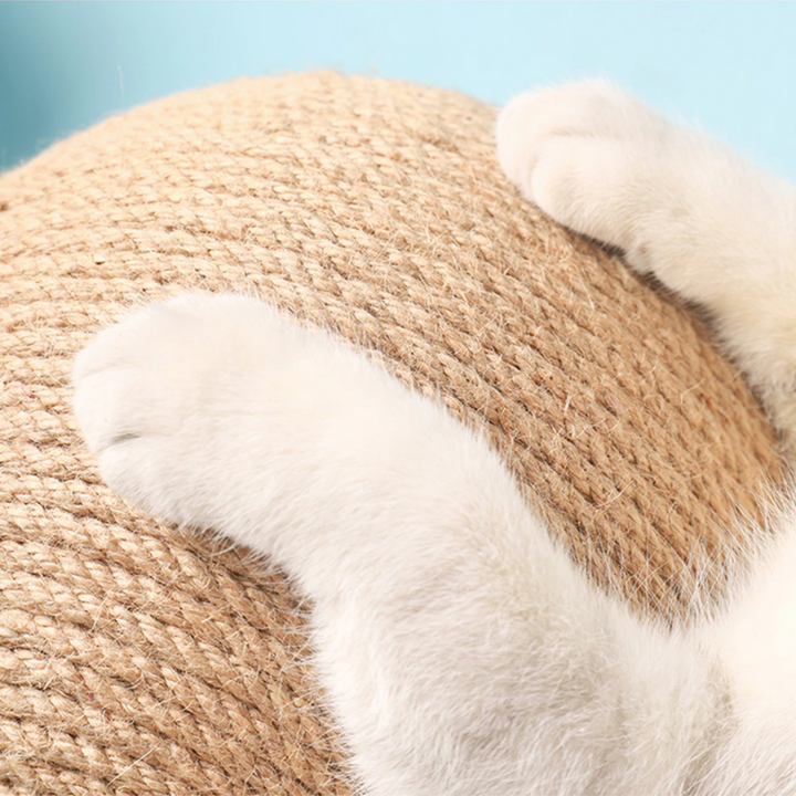 PawSprime™ Katzen Kratzball Spielzeug