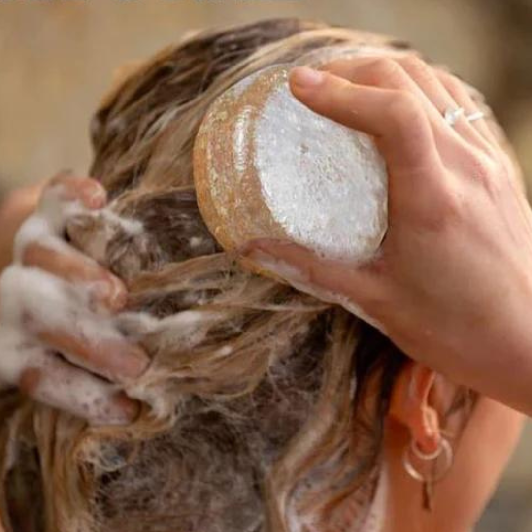 HairCare Bar™️ Ingwer Haarwuchs Shampoo Bar (1+1 GRATIS)