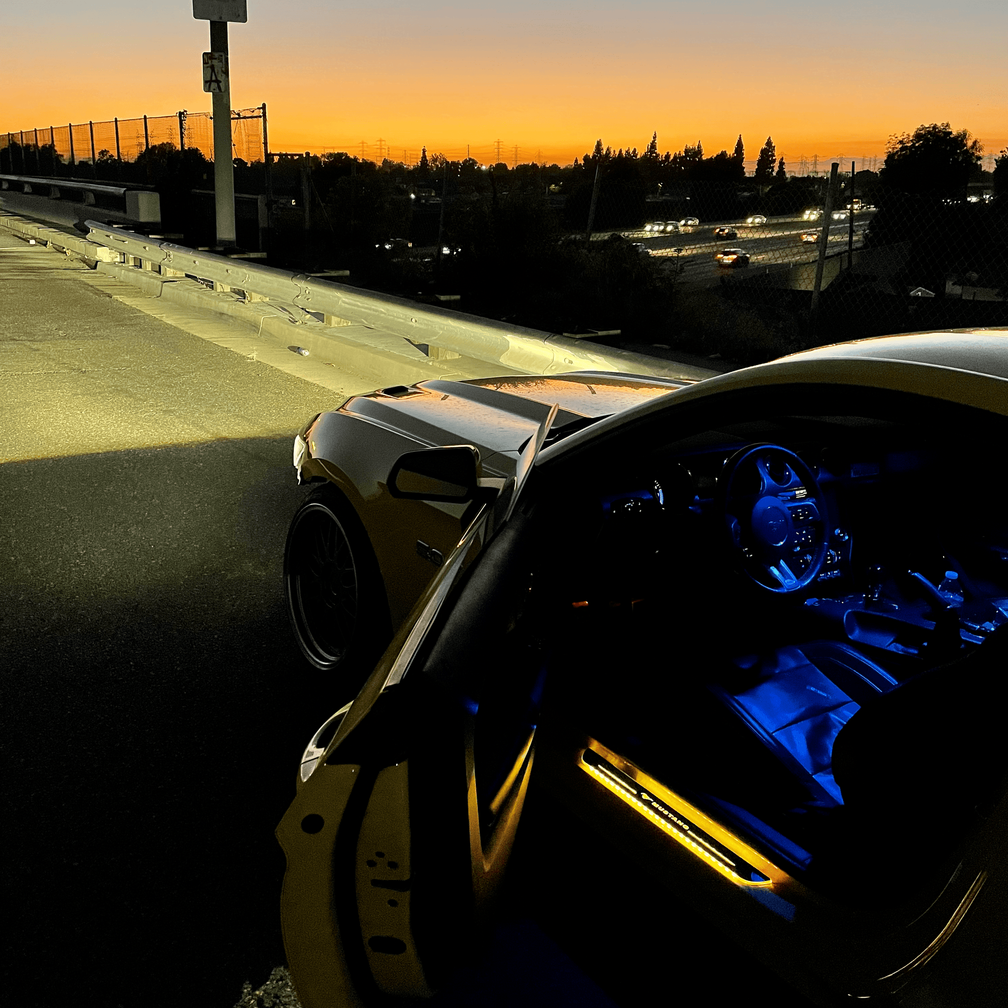 CarBloom™ - Auto LED Türschweller