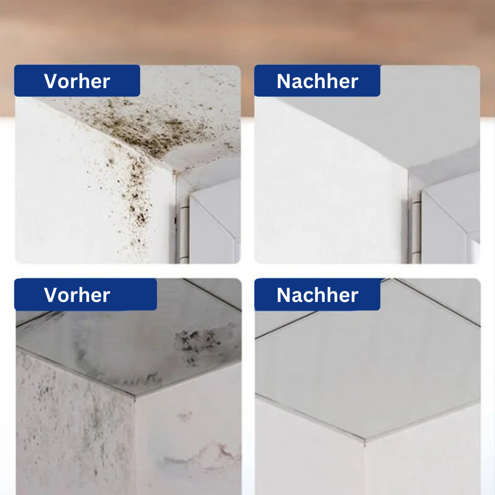 CleanCoat™️ I Wandschimmel Entferner Spray