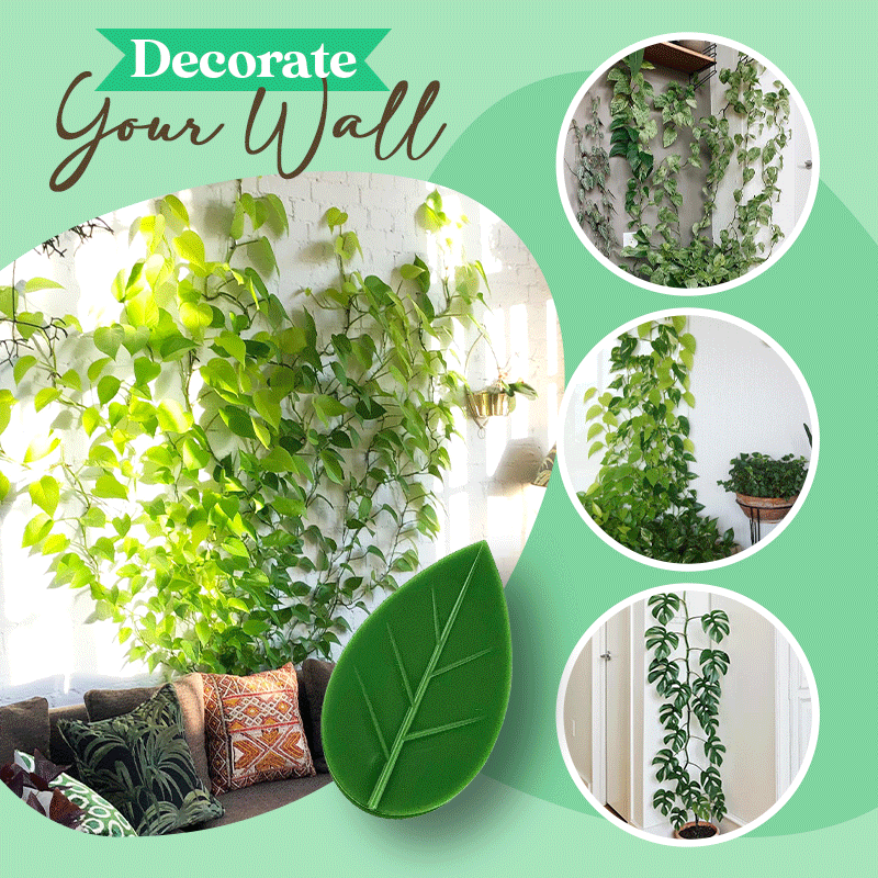 PlantClip™ - Kletterpflanzen Wandclip (25+25 GRATIS)