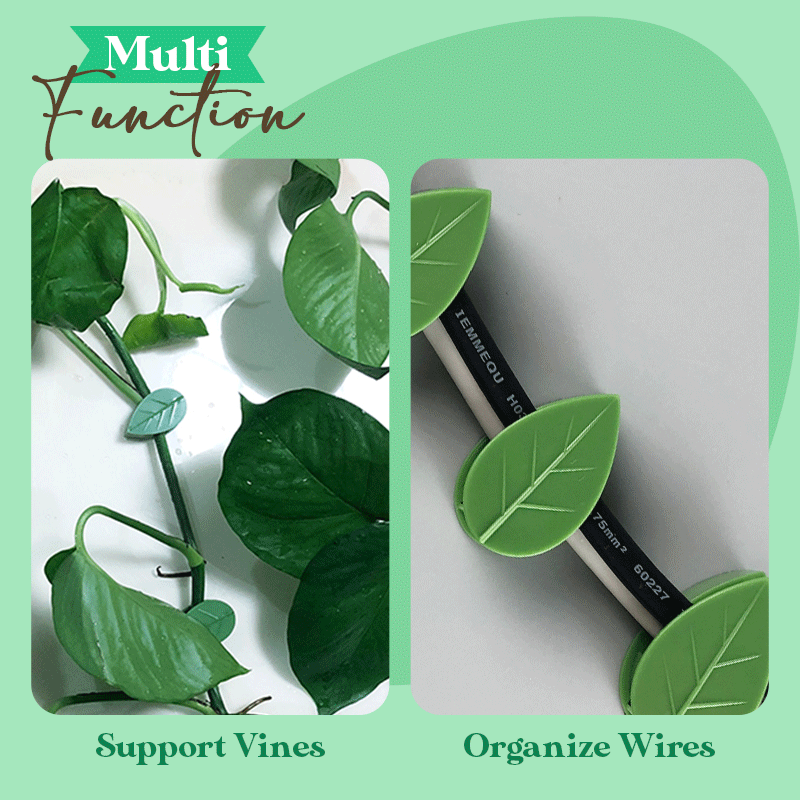 PlantClip™ - Kletterpflanzen Wandclip (25+25 GRATIS)