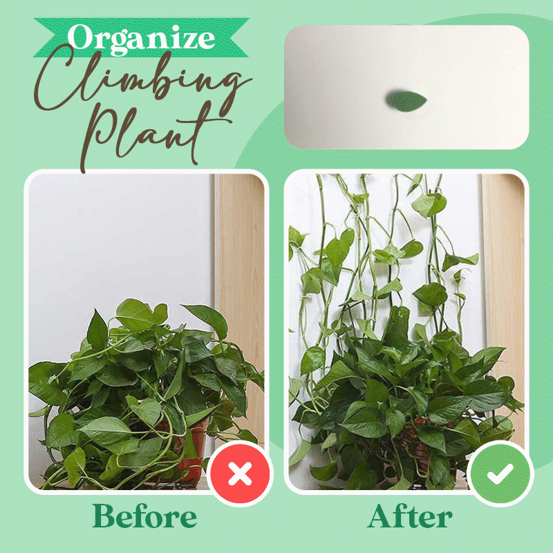 PlantClip™ - Kletterpflanzen Wandclip (25+25 GRATIS)
