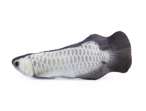 Fishy™ Katzenminze Katzenspielzeug Fischform