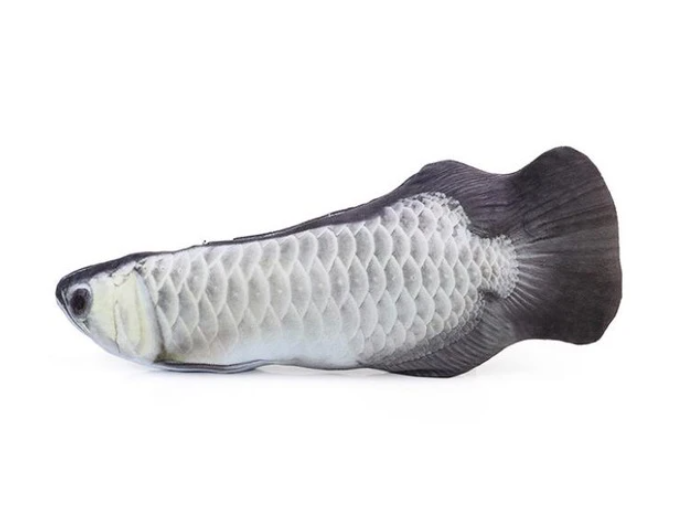 Fishy™ Katzenminze Katzenspielzeug Fischform