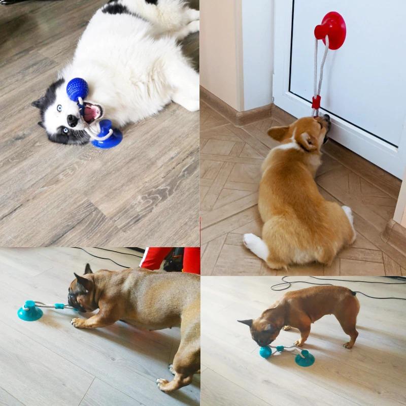 DocaToy™ | hält Ihren Hund stundenlang beschäftigt!