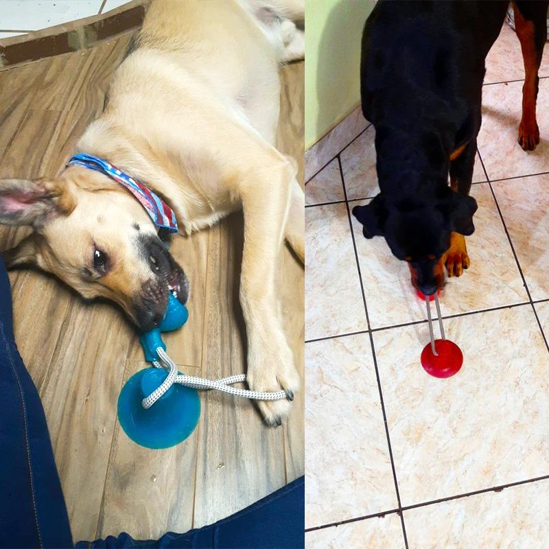 DocaToy™ | hält Ihren Hund stundenlang beschäftigt!