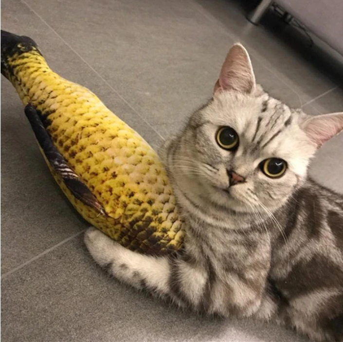 Fishy™ Katzenminze Katzenspielzeug Fischform