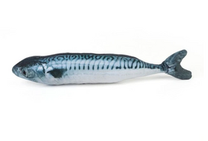 Fishy™ Katzenminze Katzenspielzeug Fischform