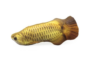 Fishy™ Katzenminze Katzenspielzeug Fischform