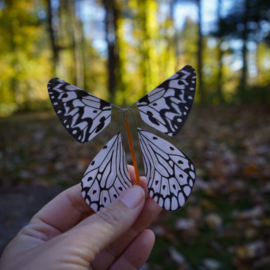 MagicFly™ - Fliegender magischer Schmetterling (5+5 GRATIS)