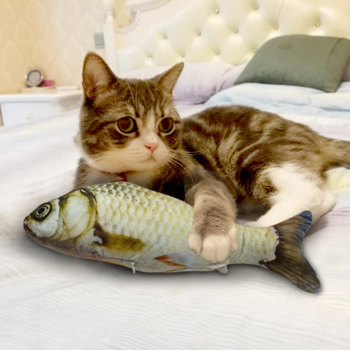 Fishy™ Katzenminze Katzenspielzeug Fischform