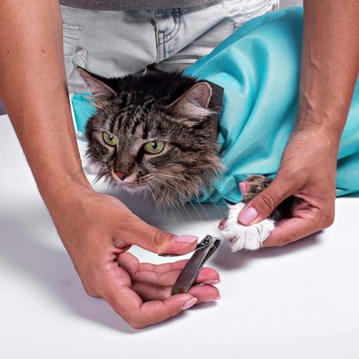 GoMeow™- Katzentragetasche