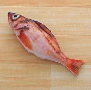 Fishy™ Katzenminze Katzenspielzeug Fischform