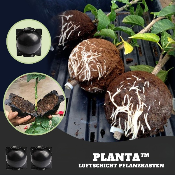 Planta™ - Luftschicht Pflanzkästen (5+5 GRATIS)