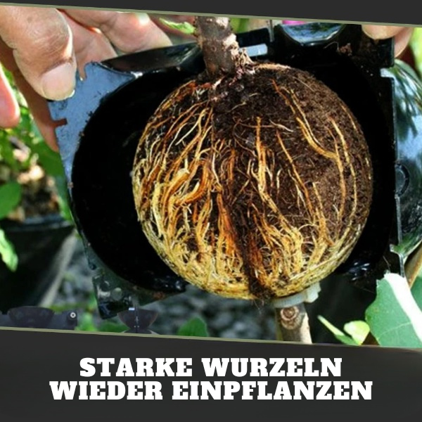Planta™ - Luftschicht Pflanzkästen (5+5 GRATIS)