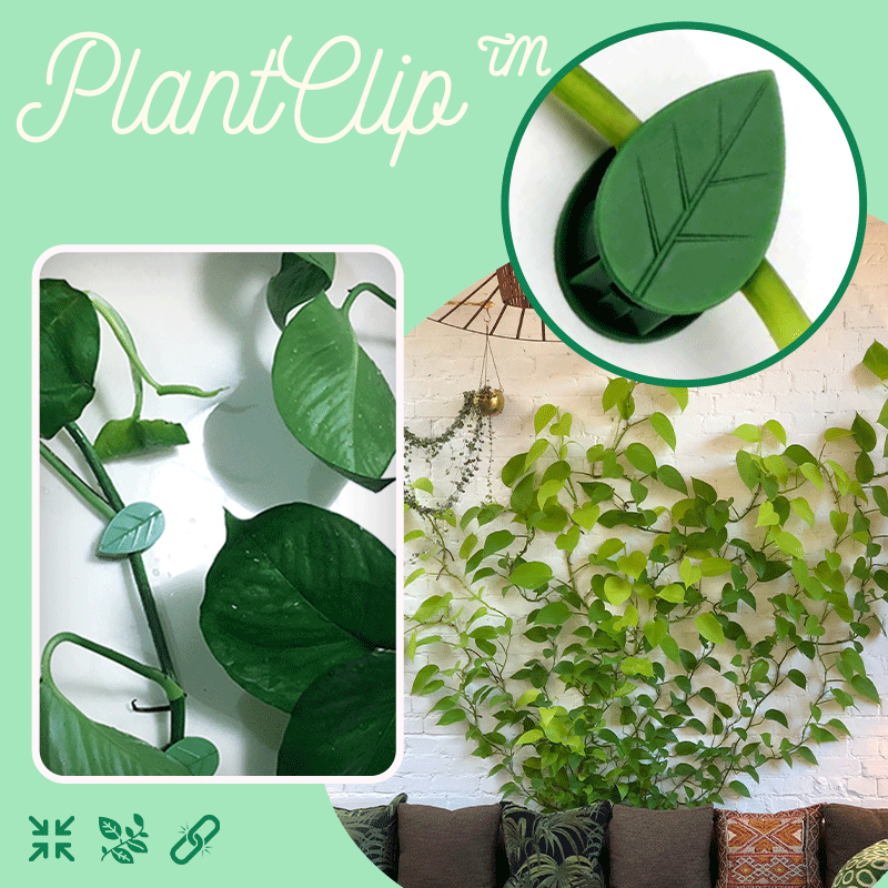 PlantClip™ - Kletterpflanzen Wandclip (25+25 GRATIS)