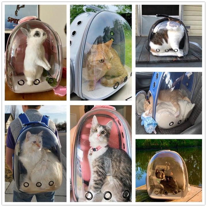 Cat baggy™️ I Atmungsaktive Katzentragetasche