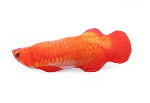 Fishy™ Katzenminze Katzenspielzeug Fischform