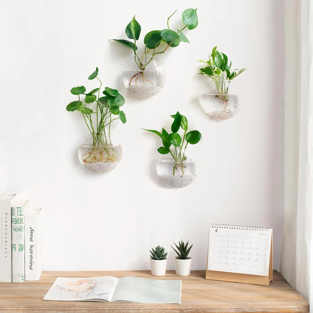WallBliss™ – Wandmontierte Klare Blumenvase (1+1 GRATIS)