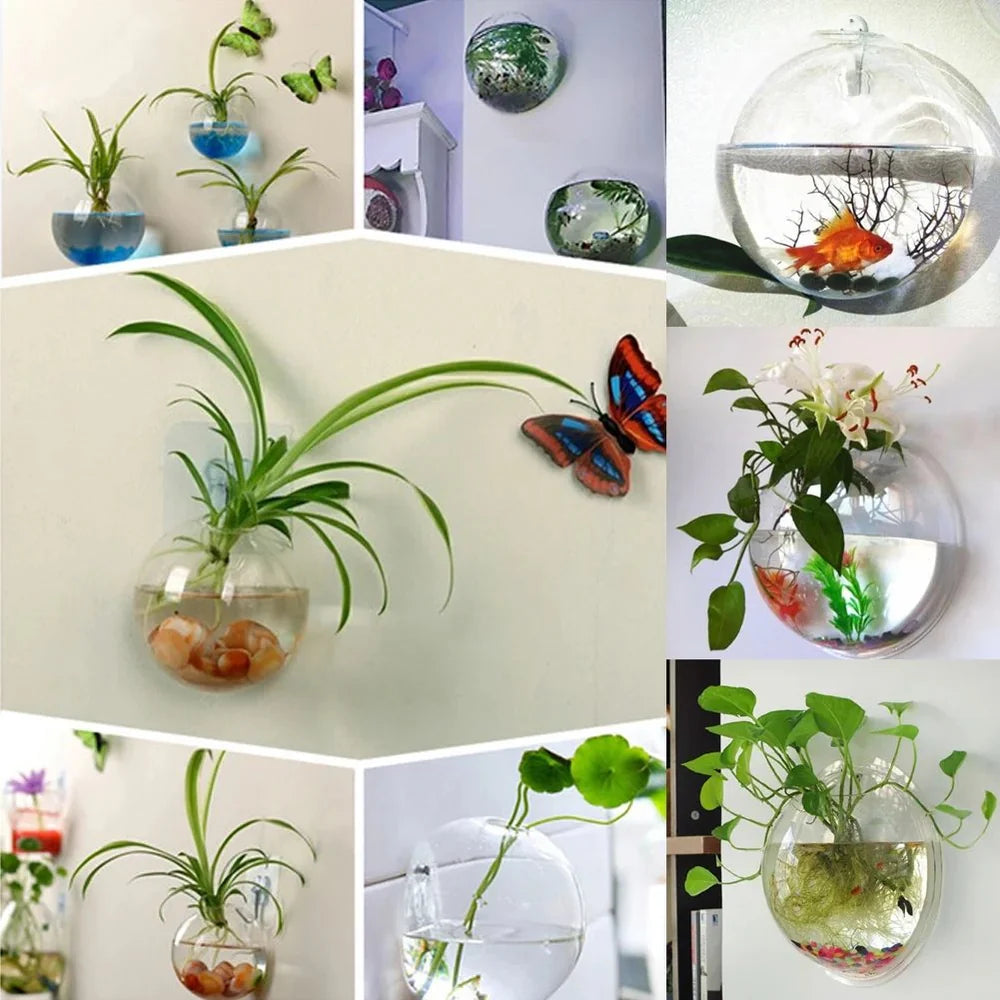 WallBliss™ – Wandmontierte Klare Blumenvase (1+1 GRATIS)